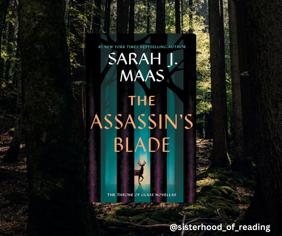 Book Review: The Assassin’s Blade